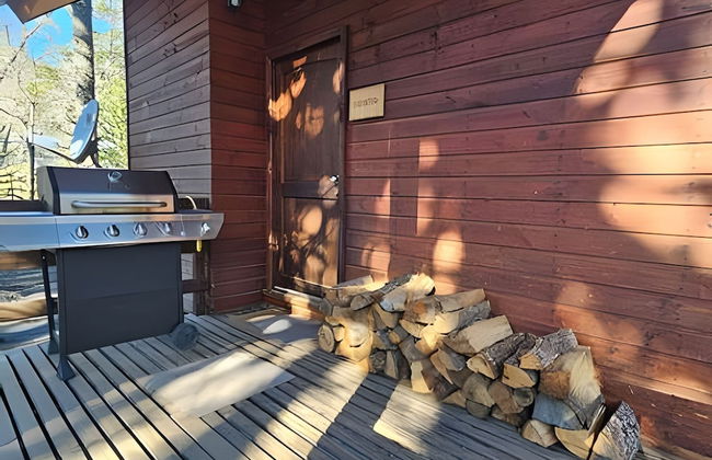 Oceana Suites Corralco - Photo 30