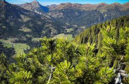 Casa Bagatin - Photo 34