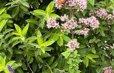 Unter den Wolken - Foto 4