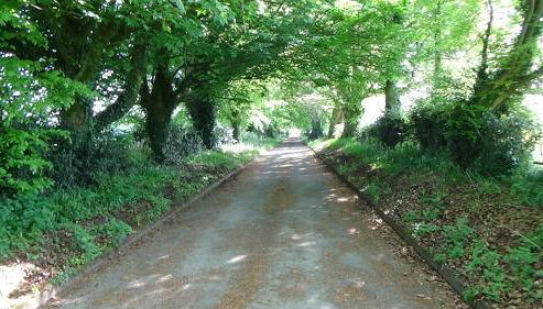 The Weaver's Cottage - Foto 2