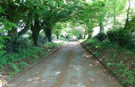 The Weaver's Cottage - Foto 2