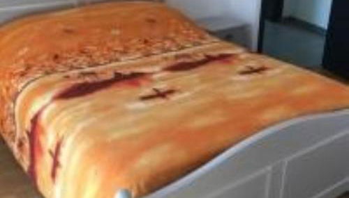 LOURDES SEGUS Location vacances - Foto 5