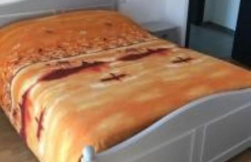 LOURDES SEGUS Location vacances - Photo 5