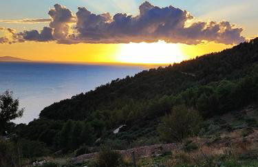 Kameni cvijet - Foto 9