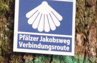 Ferienwohung am Felsenwanderweg im Pfälzerwald - Foto 13