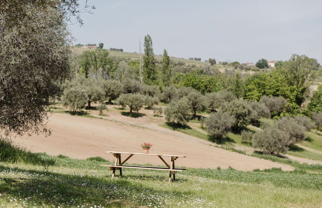 Qui Voglio - Photo 43