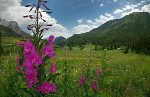 L'Etesy, pied des pistes et spa - Photo 51