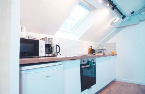 Le Nid dAigle - Spacieux logement sous les toits - Foto 38