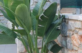 AQUA VILLA - Foto 28