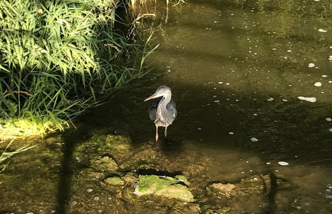 Delightful 4BD Home Full of Flair Edenbridge Kent - Foto 28