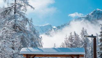 Ski et Détente Les Orres 1650 Animaux OK - Foto 3