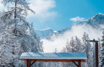 Ski et Détente Les Orres 1650 Animaux OK - Photo 3
