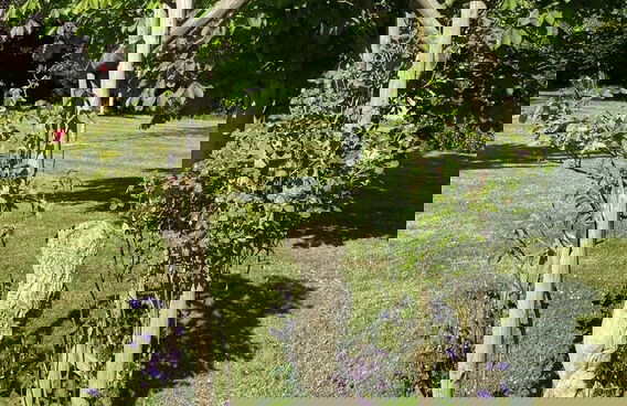 Welcoming 2 Bed Charming Self Catering Cottage - Foto 43