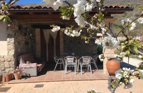 Casa Rural Las Picotas - Foto 9