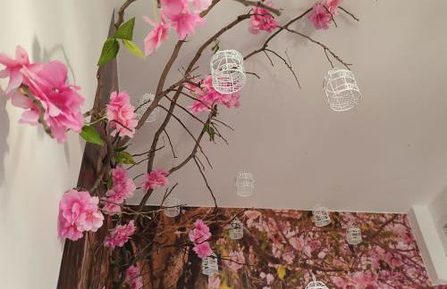 Sueños de Orive. Con piscina y wifi. Casco antiguo. - Foto 7