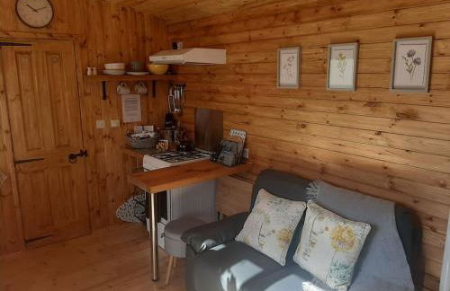 Anglesey new modern shepherds hut with spa hot tub - Foto 12