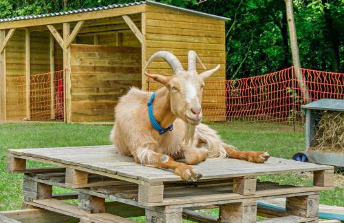 1 Bed in Newport oc-94188 - Foto 20