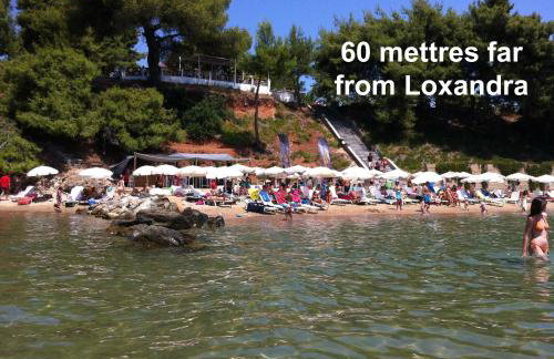 Loxandra Studios - Foto 6