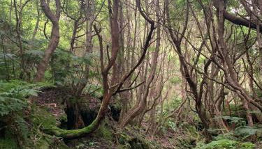 Casa do Postigo Rustic Refuge to Relax - Photo 4