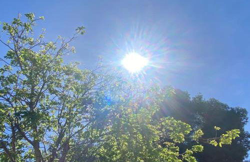 Marisma Home - Foto 20