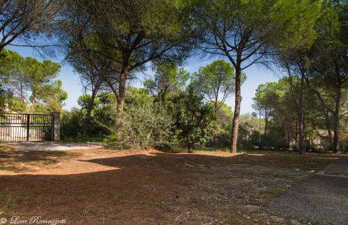 Hotiday Apartments Case Bianche - Foto 51