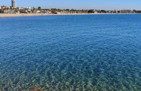 Femina Blue - Foto 7