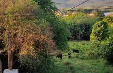 Estúdio Florarte - Foto 10