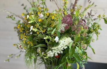 U Ewy pod Brzozami - Foto 50