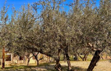 oasi macerina - Foto 47