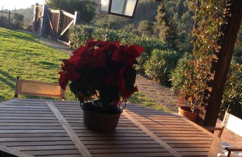 La casa nella Macchia - Foto 26