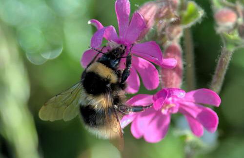 The Workshop- Eco Cottage by the Coastal Path - Photo 46