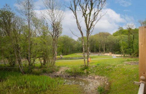 Fig Tree Cottage - Photo 20