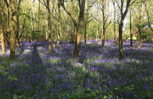 The Clock House - Foto 29