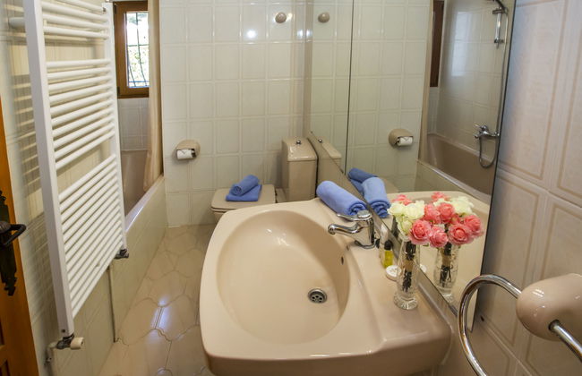 Mirlo Canta - Foto 22