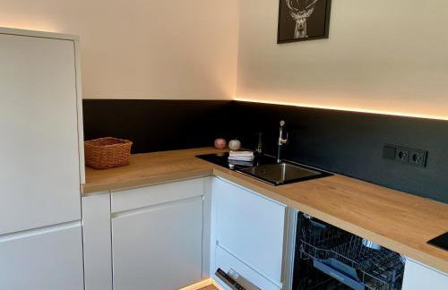 Bergelemente - Gmundberg Apartment - Foto 32