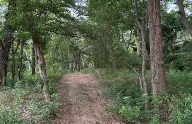 Colorado river access, game room & swimming pool - Photo 45