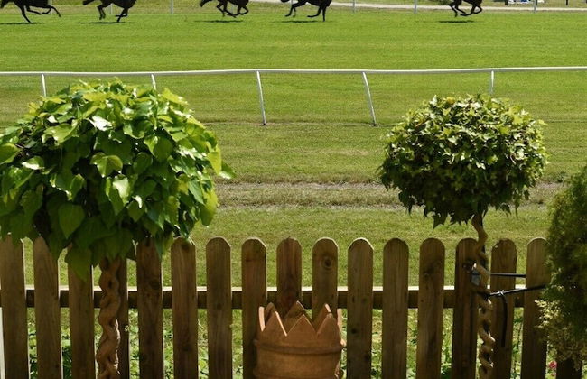 47 Wetherby Way - Foto 27