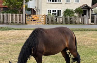 Delightful 3-bedroom Cottage, Brockenhurst - Foto 28