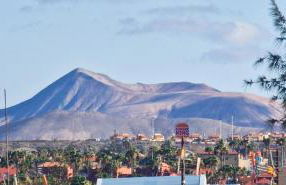 Blue House - Photo 34