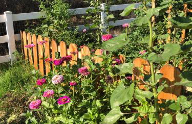 Amazing Loft on Horse Ranch - Foto 39