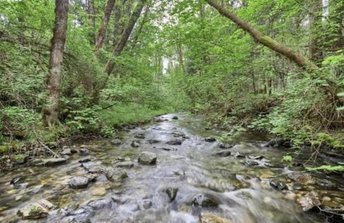 Forest Haven, Fantastic Nature Retreat! - Foto 23