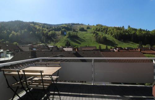 Apartment "Blackforest", Todtnau, 5 Schlafzimmer - Foto 11