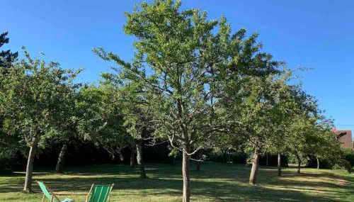 Maison lumineuse et rénovée au cœur du Perche - Foto 4