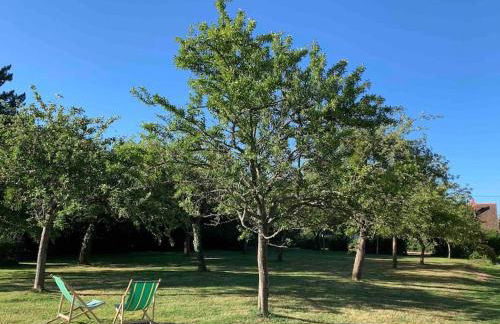 Maison lumineuse et rénovée au cœur du Perche - Foto 4