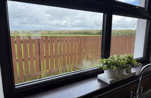 Marions Place - Photo 11