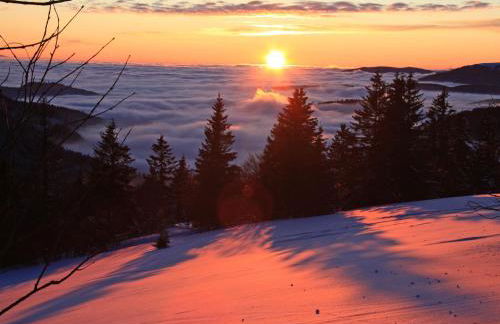 Biber Lodge - Foto 24