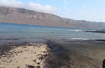 APARTAMENTOS FLOR - Foto 6