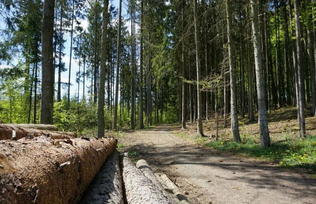 Scenic Retreat Near Kirchheim - Foto 23