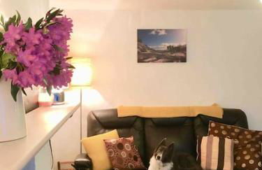 HOLIDAY HOUSE TANYGRISIAU SNOWDONIA North Wales - Foto 36
