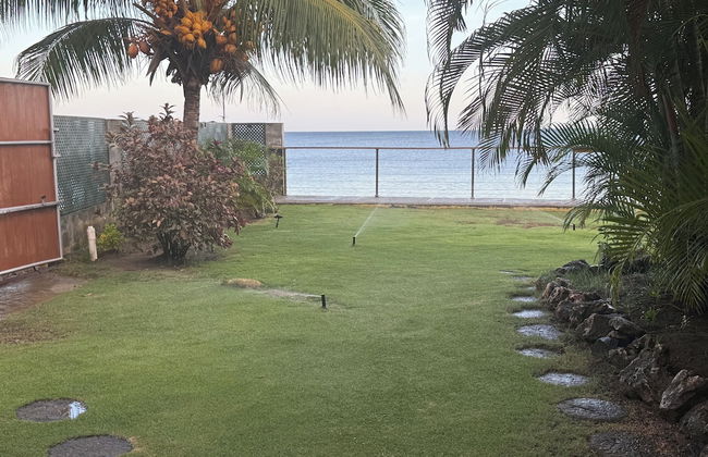 Birdie's Nest - Foto 39